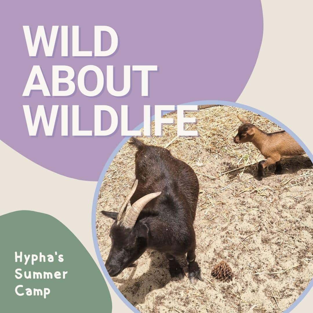 Looking forward to welcoming our young adventurers to another week of Hypha Camp...