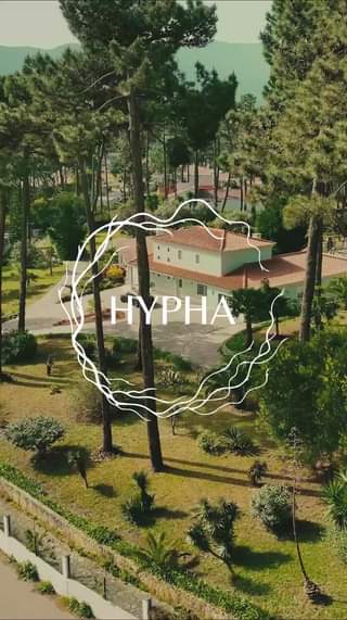At HYPHA, every corner of our learning centre is purposefully designed to suppor...