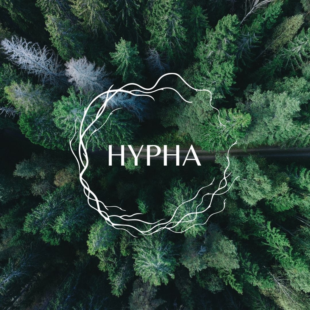 HYPHA is an innovative educational model designed for children between the ages ...