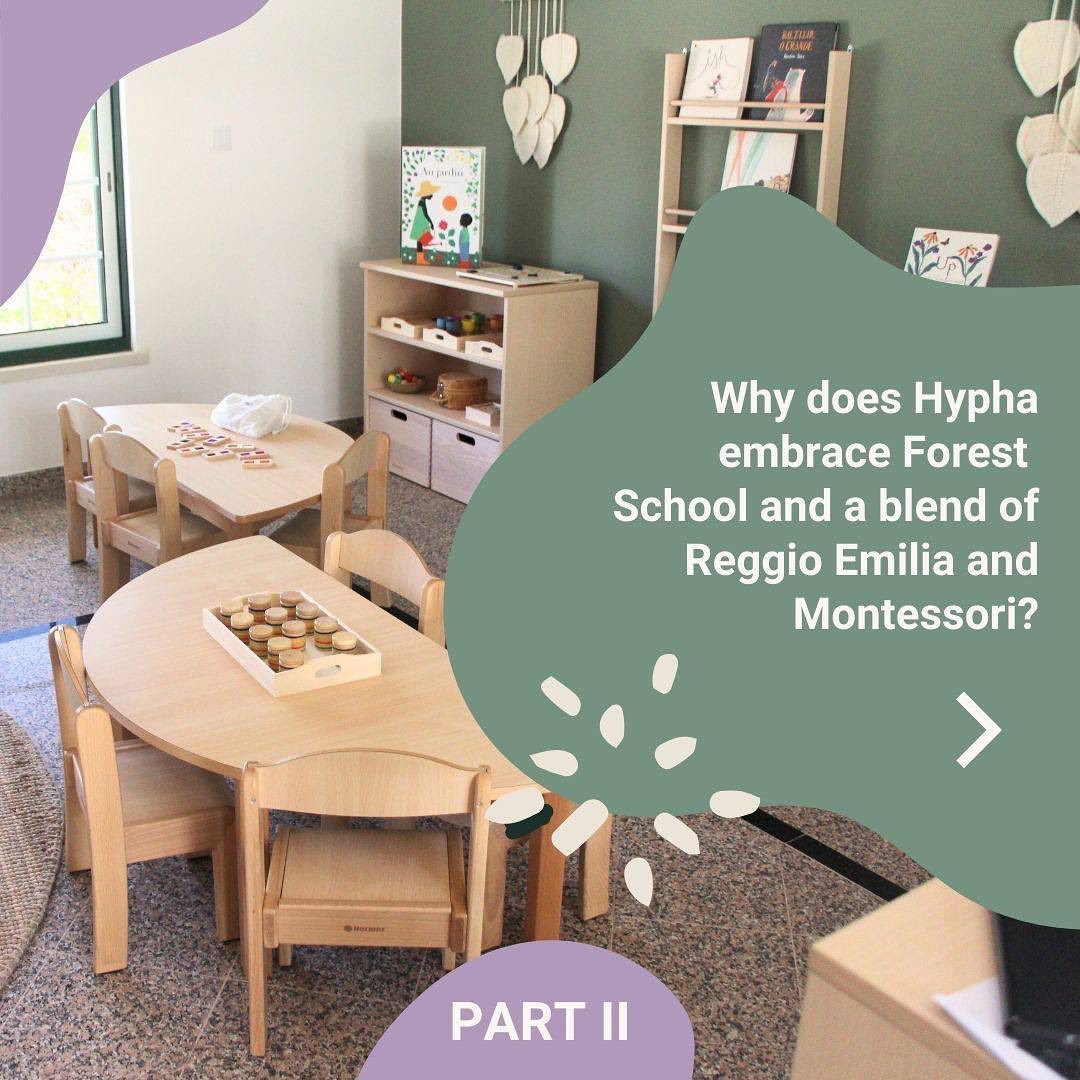 Using either Forest School, Montessori, or Reggio Emilia on their own wouldn’t g…