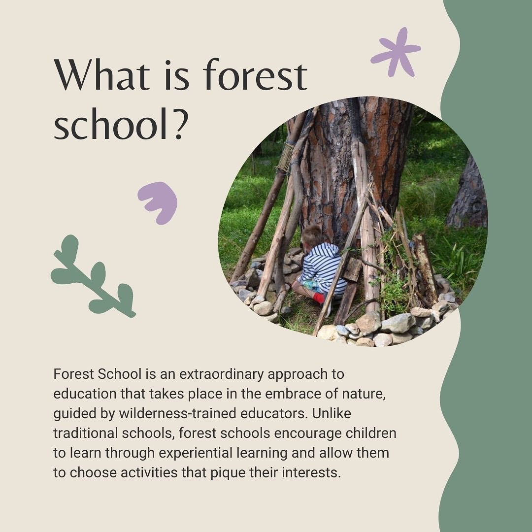 When comparing Traditional Schools and the Hypha Way 
 
Forest Schools in a Trad…