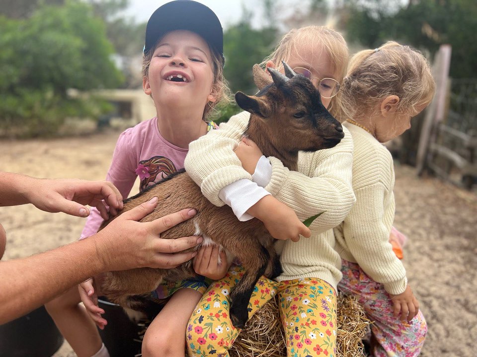 Lots of smiles today as we petted the baby farm animals. Together we helped to f...