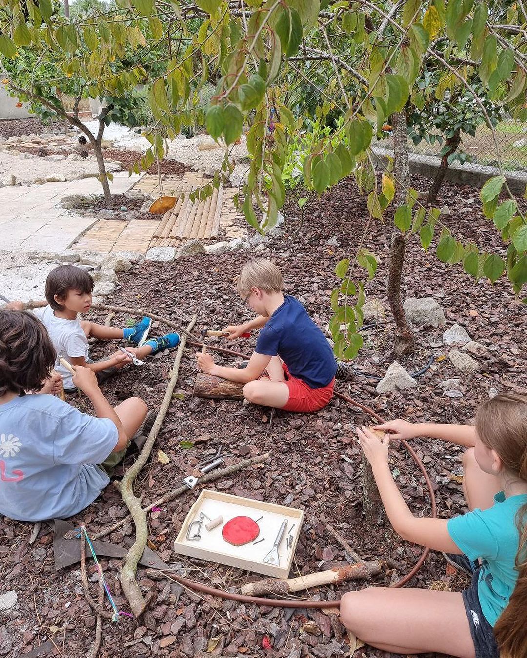 Summer Camp 2 Children playing in the woodland