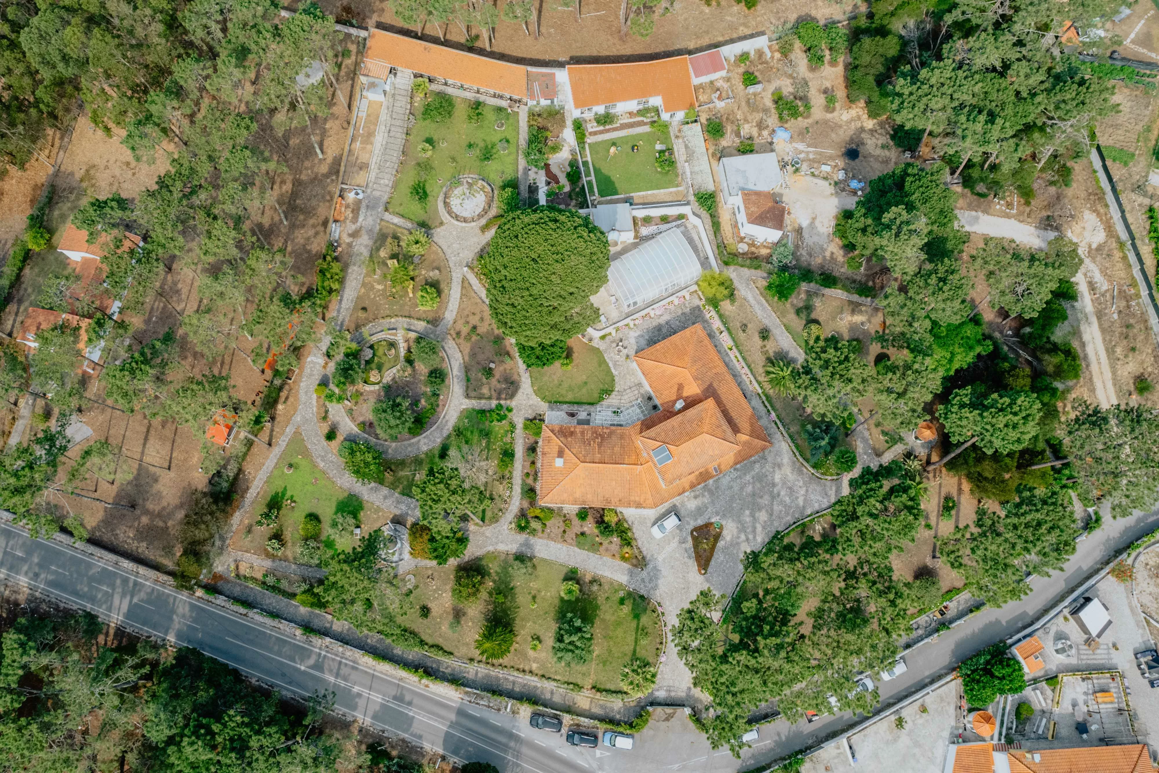 School Life 13 Hypha forest school 1