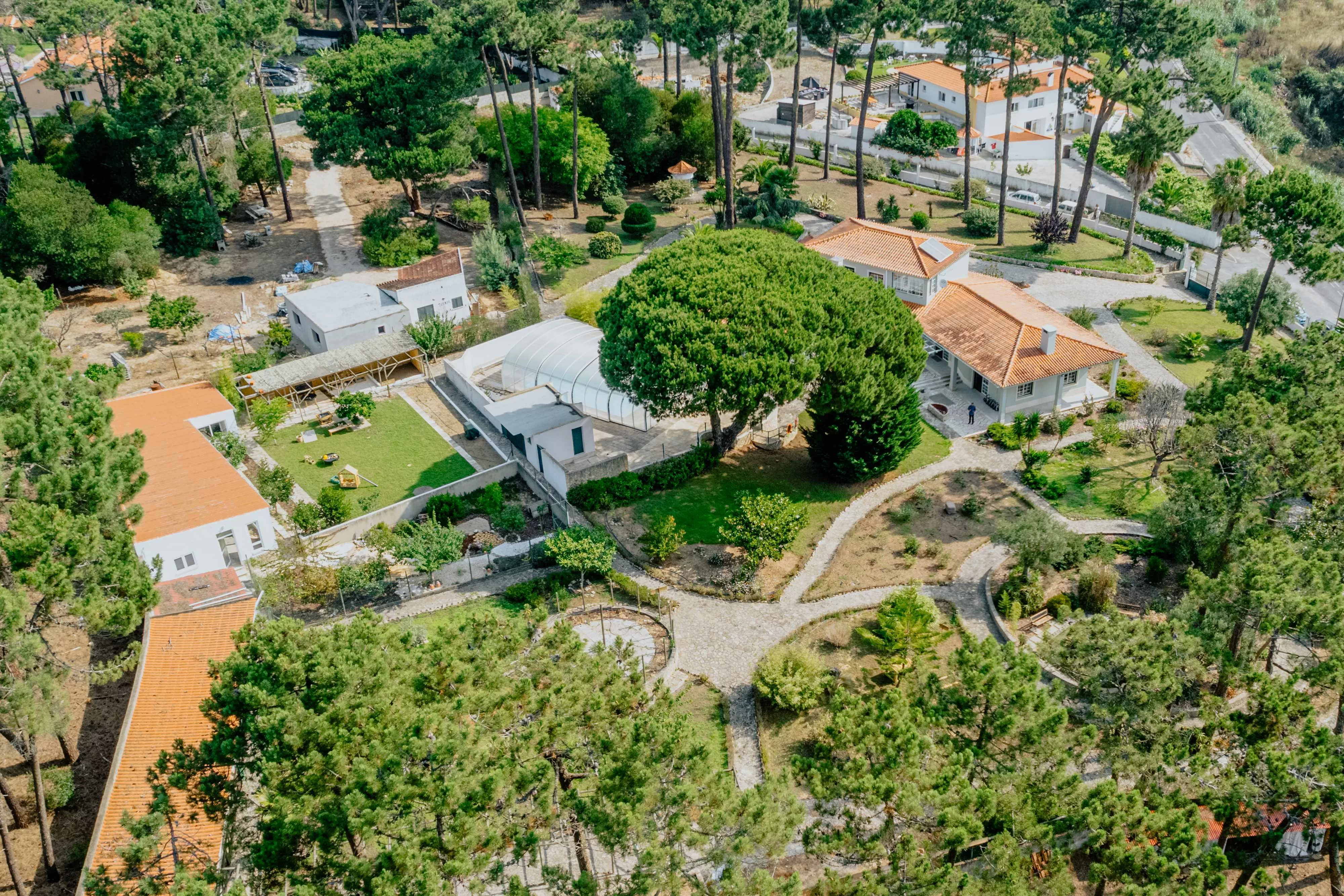 School Life 16 Hypha forest school 2