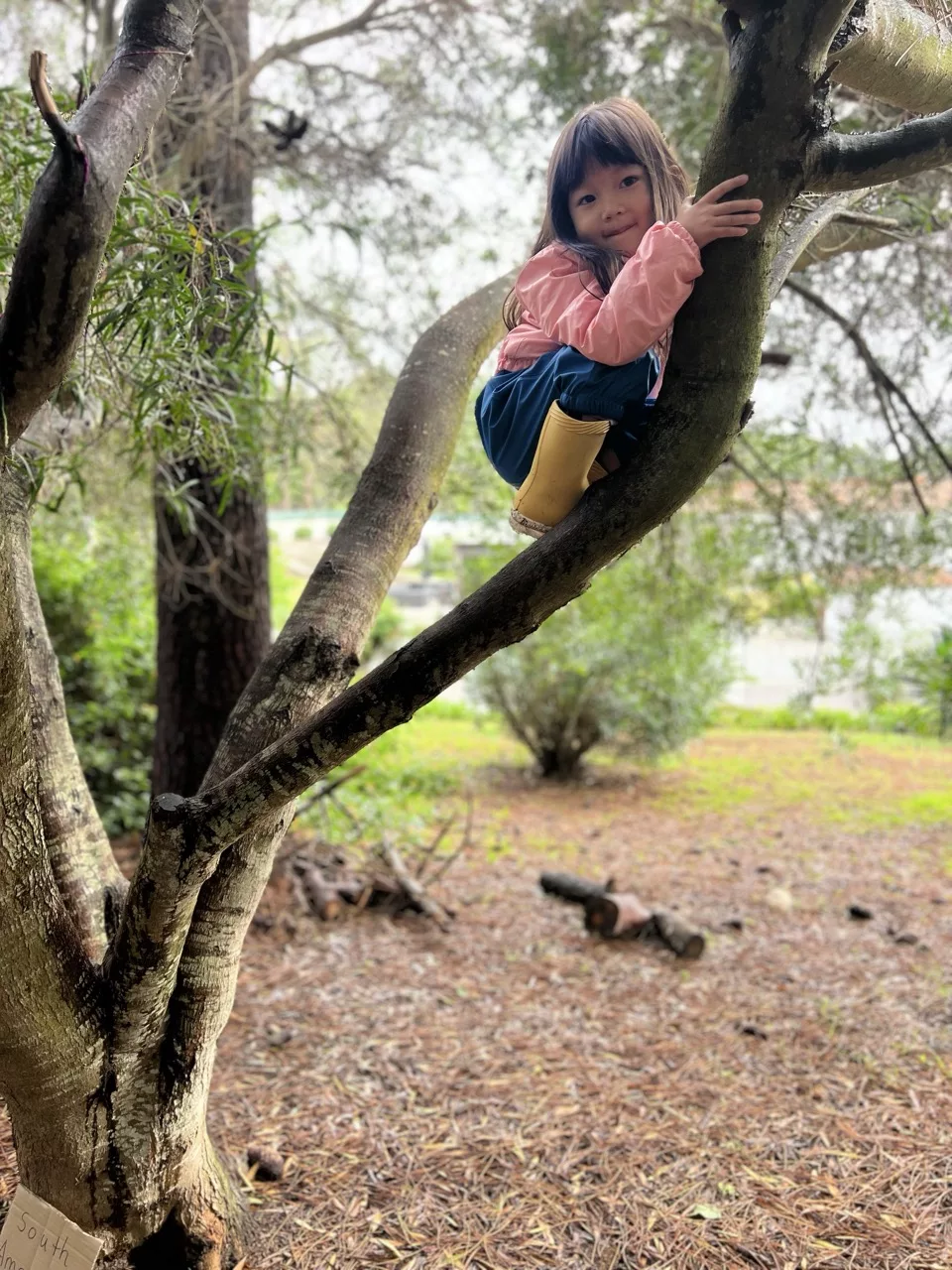 Home 30 Child climbing a tree at Hypha