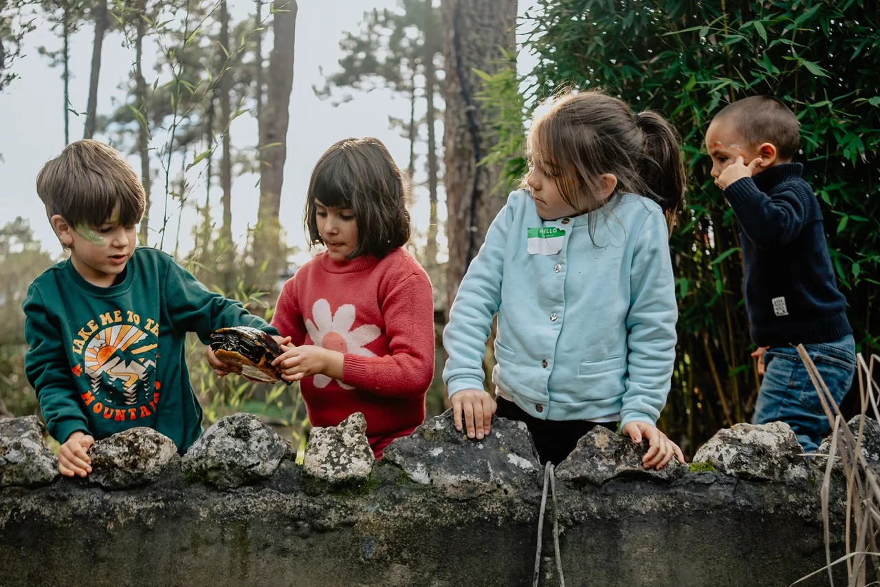 Summer Camp 1 Children at the Hypha campus looking at a turtle