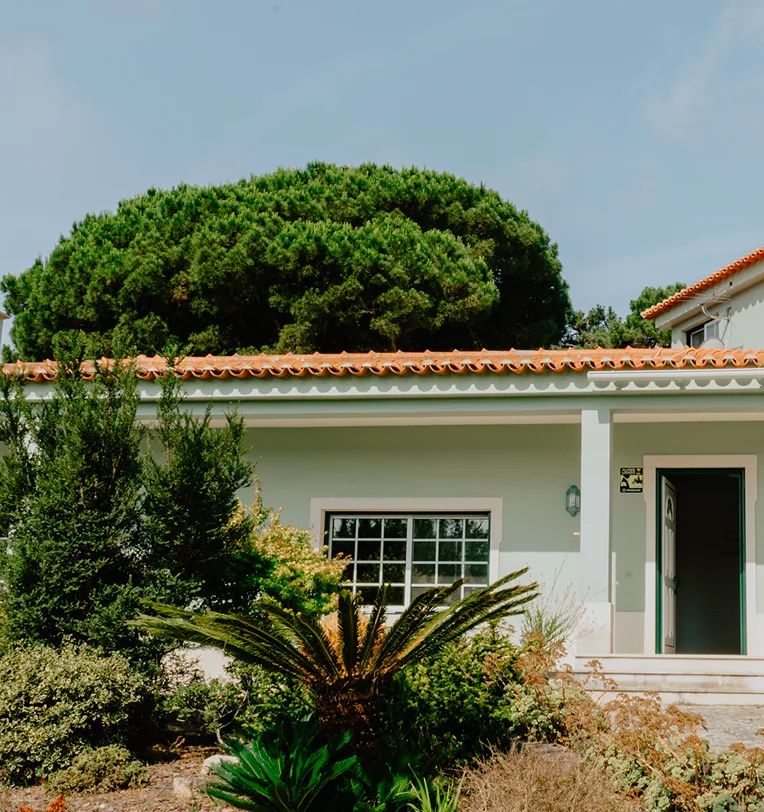 The Middle School house at Hypha