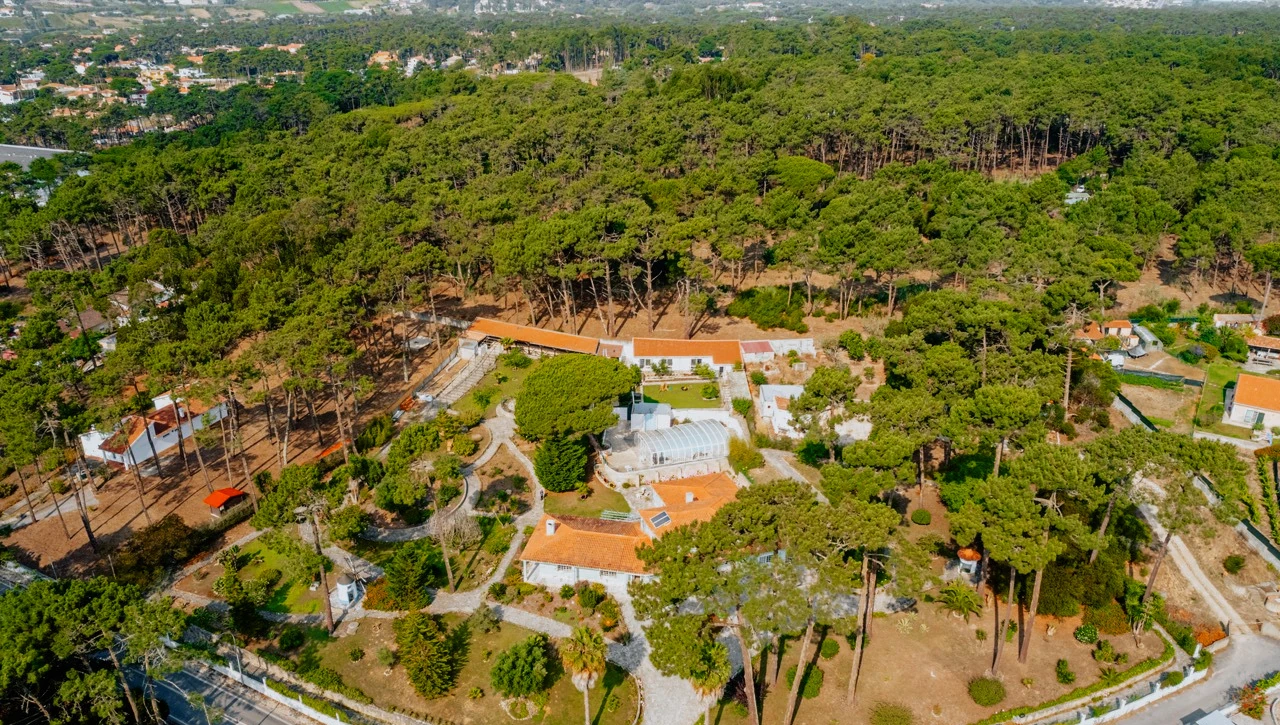 Home 34 Aerial view of the Hypha campus among the pine forest