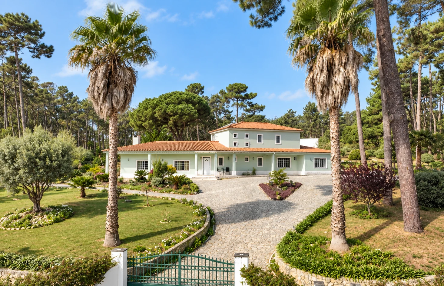 Home 40 Hypha school house surrounded by palm trees and pine forest